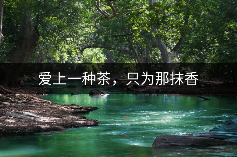 愛(ài)上一種茶，只為那抹香