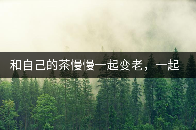 和自己的茶慢慢一起變老，一起變好