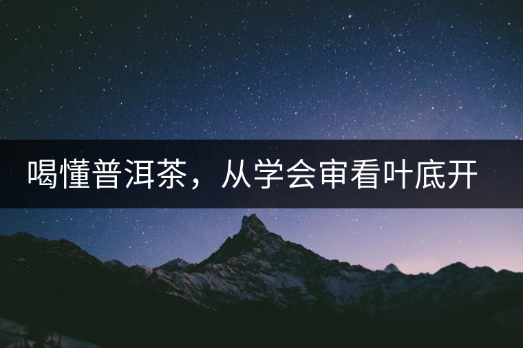 喝懂普洱茶，從學(xué)會(huì)審看葉底開始