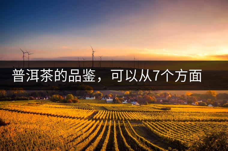 普洱茶的品鑒，可以從7個方面著手
