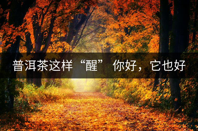 普洱茶這樣“醒” 你好，它也好