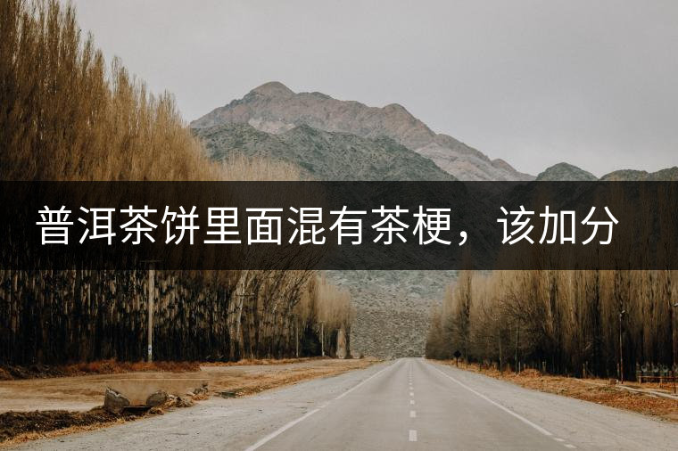 普洱茶餅里面混有茶梗，該加分還是減分？