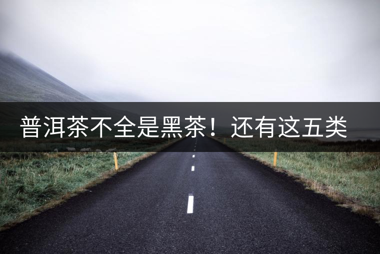 普洱茶不全是黑茶！還有這五類茶，現(xiàn)在知道還不算晚