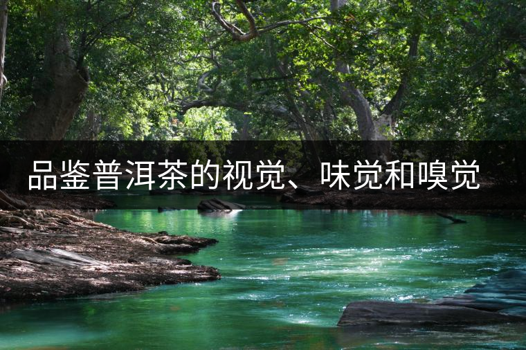 品鑒普洱茶的視覺(jué)、味覺(jué)和嗅覺(jué)指標(biāo)