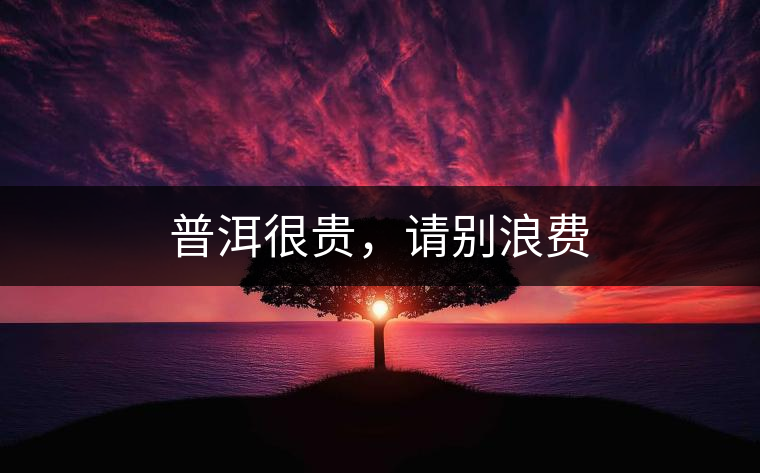 普洱很貴，請(qǐng)別浪費(fèi)