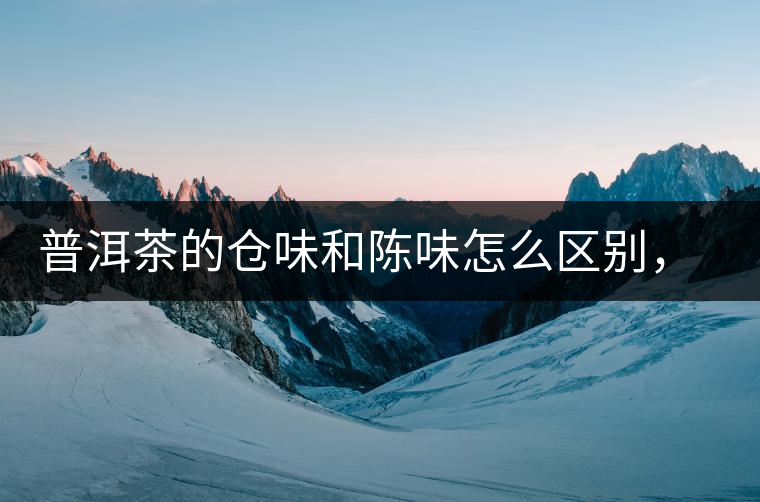 普洱茶的倉味和陳味怎么區(qū)別，如何避免？