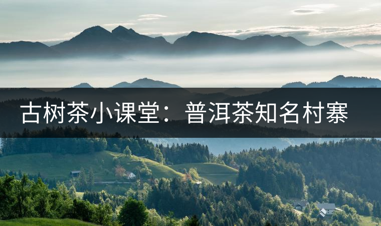 古樹茶小課堂：普洱茶知名村寨的生態(tài)環(huán)境如何？
