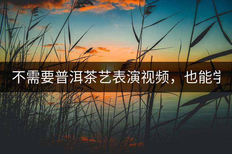 不需要普洱茶藝表演視頻，也能學(xué)會的茶藝！