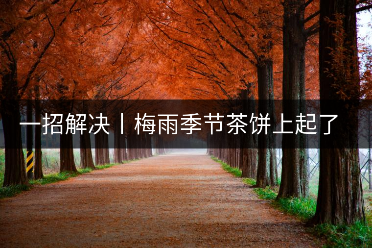 一招解決丨梅雨季節(jié)茶餅上起了白霜白點(diǎn)怎么辦？