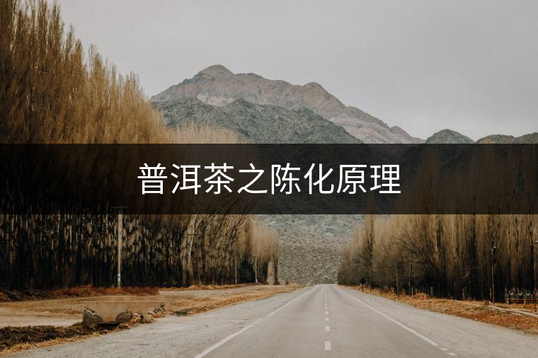 普洱茶之陳化原理 普洱茶之陳化原理