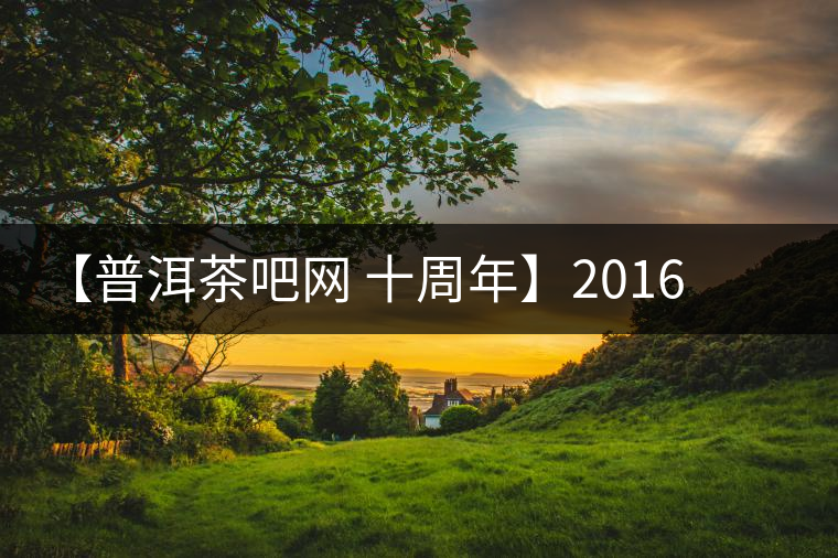 【普洱茶吧網(wǎng) 十周年】2016年布朗山帕點古樹春茶團購預定 【普洱茶吧網(wǎng) 十周年】2016年布朗山帕點古樹春茶團購預定
