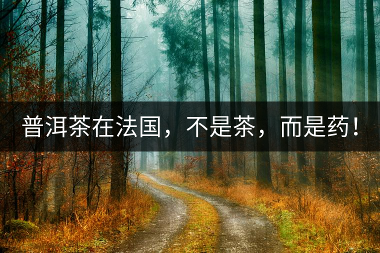 普洱茶在法國(guó)，不是茶，而是藥！