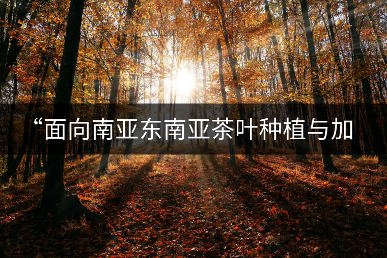“面向南亞東南亞茶葉種植與加工技術(shù)培訓班”在昆開班 “面向南亞東南亞茶葉種植與加工技術(shù)培訓班”在昆開班
