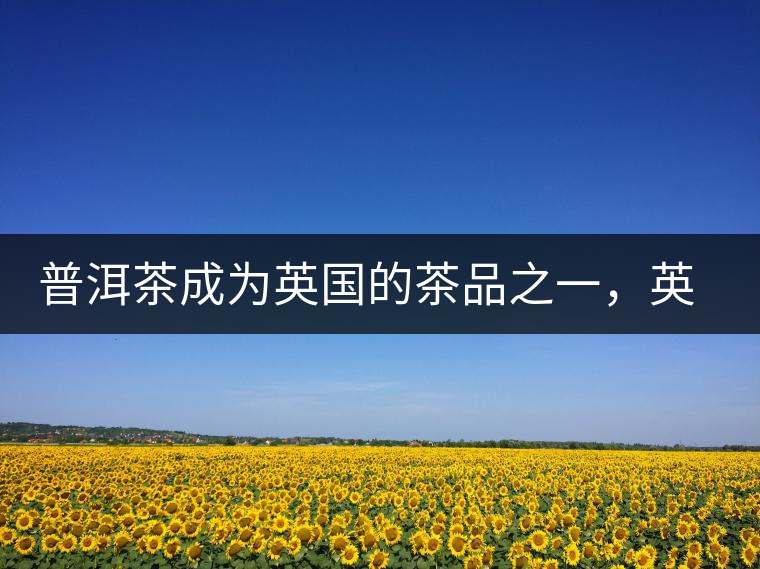 普洱茶成為英國的茶品之一，英國雜志給出7大理由