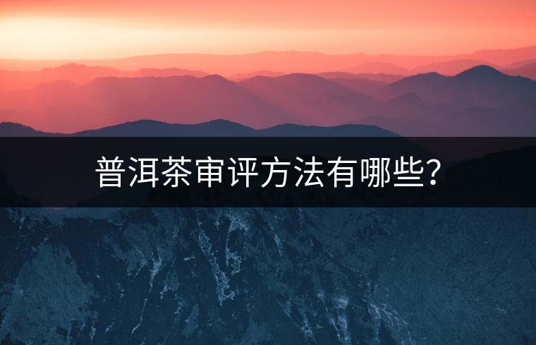 普洱茶審評方法有哪些？
