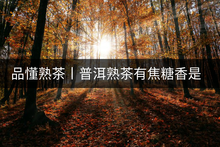 品懂熟茶丨普洱熟茶有焦糖香是好還是不好的表現(xiàn)？