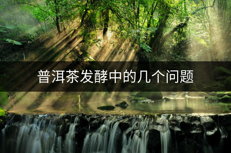 普洱茶發(fā)酵中的幾個(gè)問題 普洱茶發(fā)酵中的幾個(gè)問題
