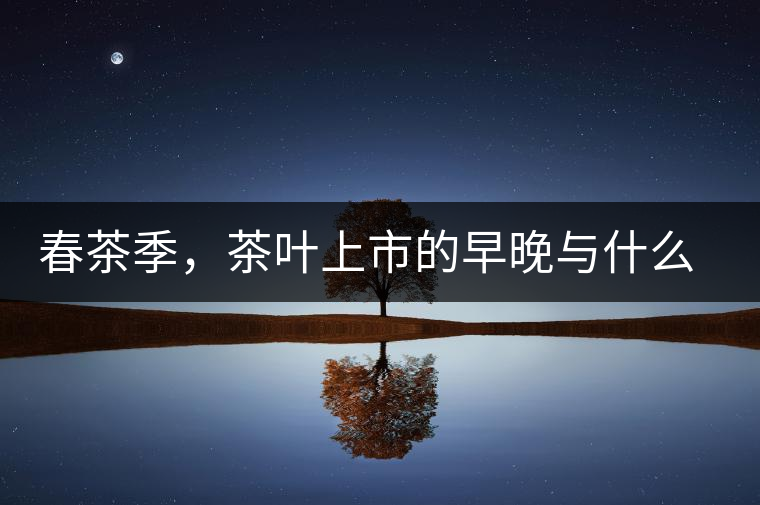 春茶季，茶葉上市的早晚與什么有關(guān)