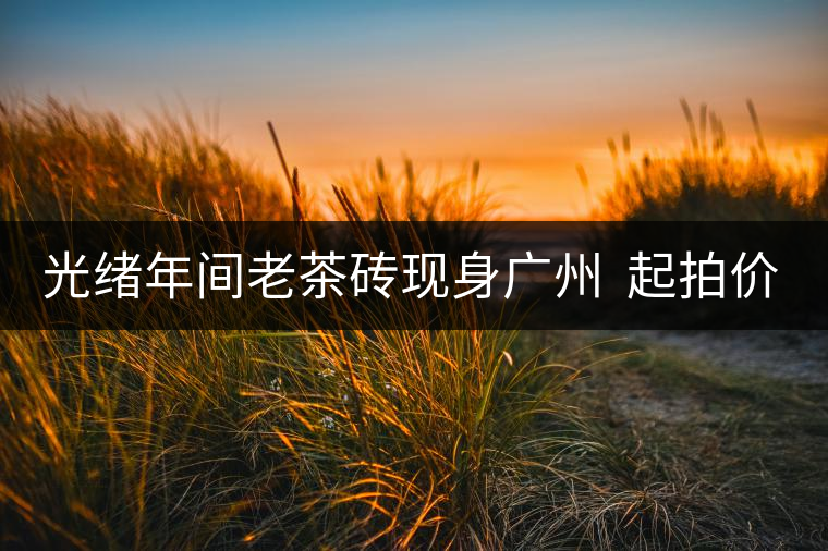 光緒年間老茶磚現(xiàn)身廣州 起拍價(jià)50萬 光緒年間老茶磚現(xiàn)身廣州 起拍價(jià)50萬