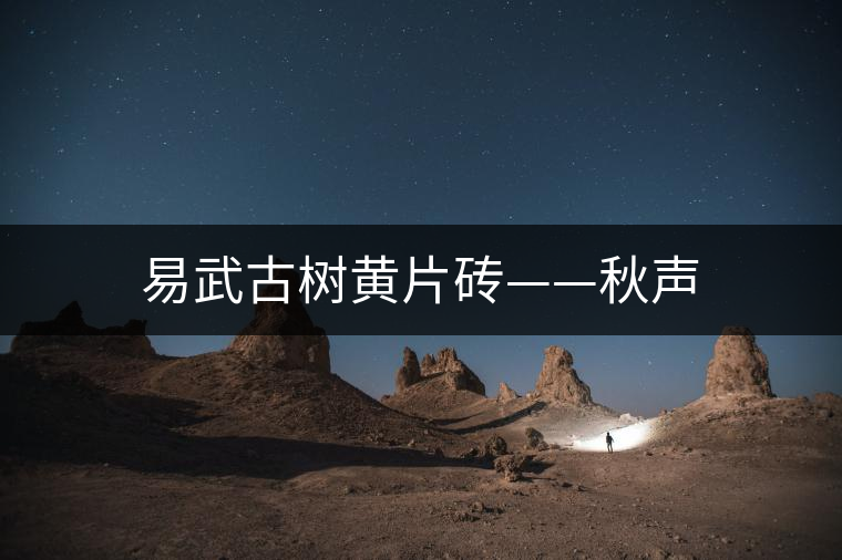 易武古樹黃片磚——秋聲