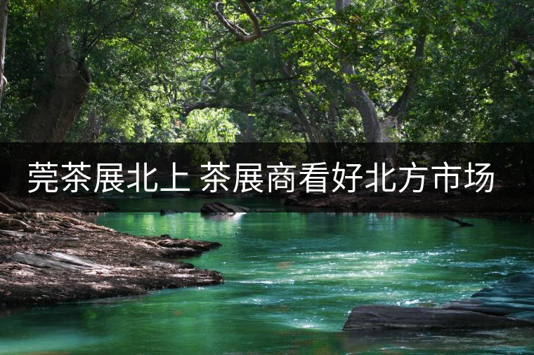 莞茶展北上 茶展商看好北方市場！