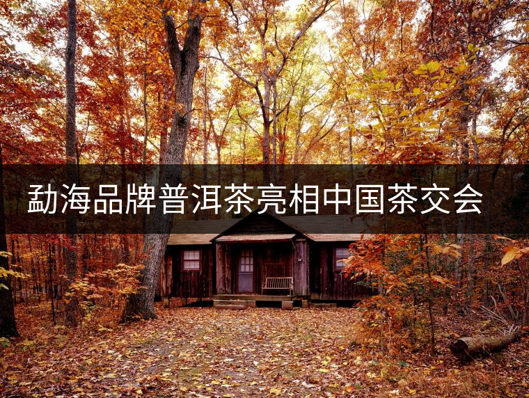 勐海品牌普洱茶亮相中國茶交會(huì) 百余茶企參展