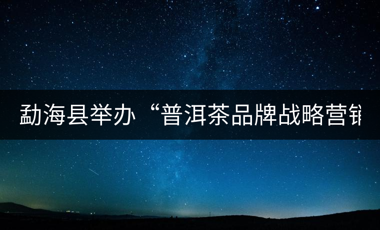 勐?？h舉辦“普洱茶品牌戰(zhàn)略營(yíng)銷(xiāo)專題講座”