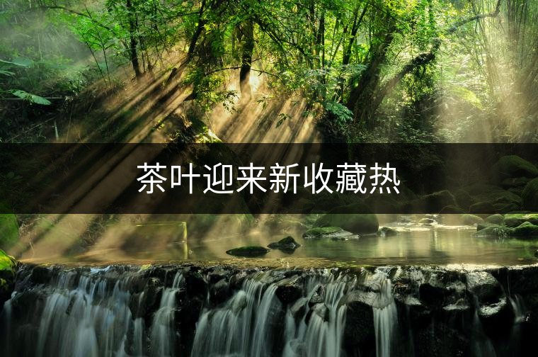 茶葉迎來(lái)新收藏?zé)? alt=