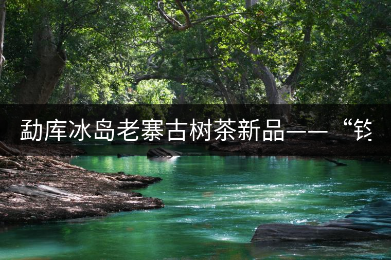 勐庫(kù)冰島老寨古樹(shù)茶新品——“鈞翔號(hào)”