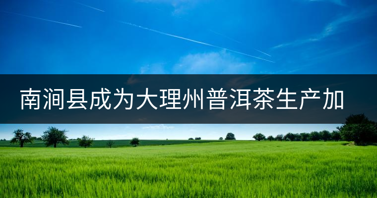 南澗縣成為大理州普洱茶生產(chǎn)加工最佳基地 南澗縣成為大理州普洱茶生產(chǎn)加工最佳基地