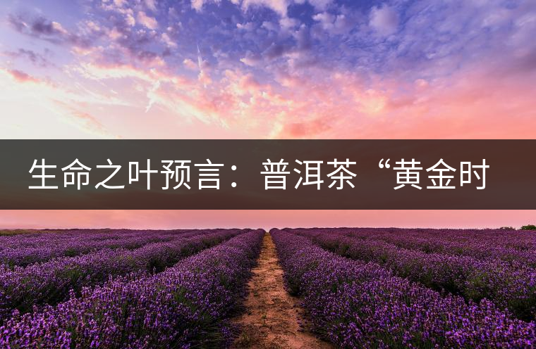 生命之葉預(yù)言:普洱茶“黃金時代”即將再度來臨 生命之葉預(yù)言:普洱茶“黃金時代”即將再度來臨