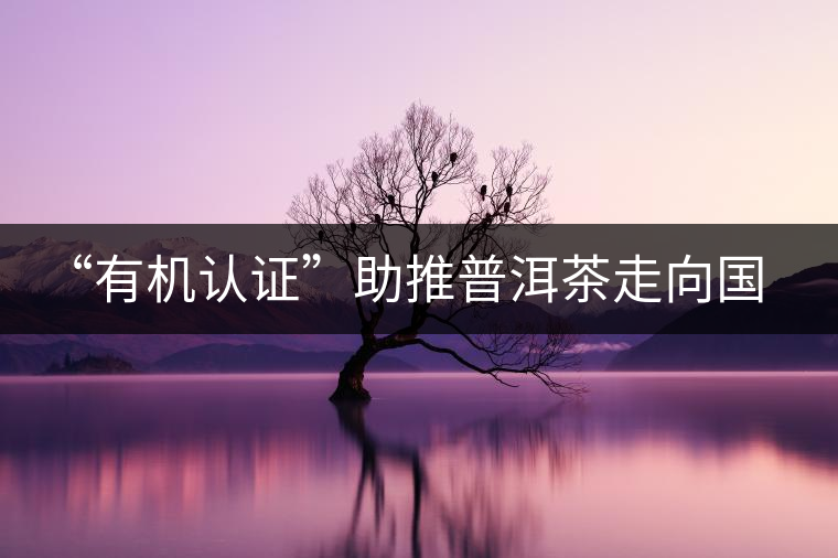 “有機認(rèn)證”助推普洱茶走向國際 “有機認(rèn)證”助推普洱茶走向國際