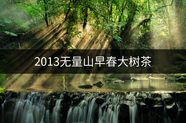 2013無量山早春大樹茶 2013無量山早春大樹茶