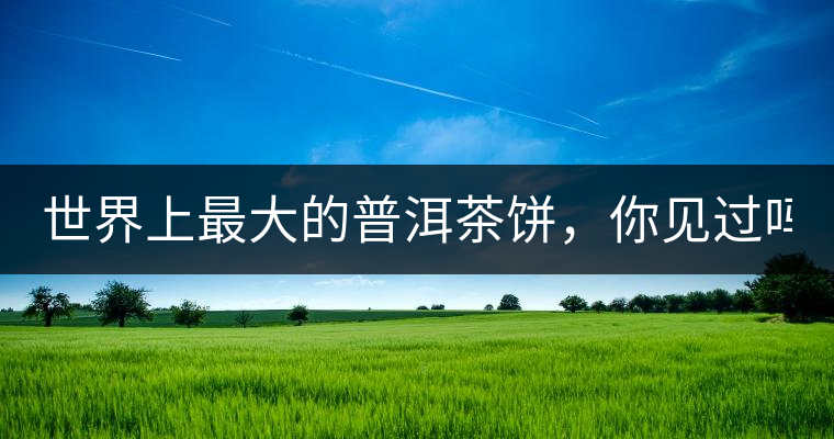 世界上最大的普洱茶餅，你見過嗎？