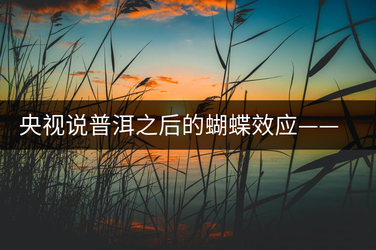 央視說普洱之后的蝴蝶效應(yīng)——過度開采會(huì)出現(xiàn)“死循環(huán)”？