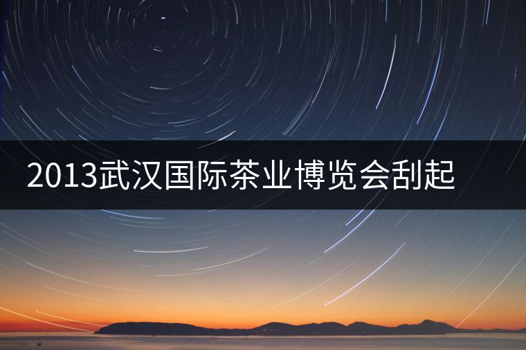 2013武漢國際茶業(yè)博覽會刮起一股“黑旋風(fēng)