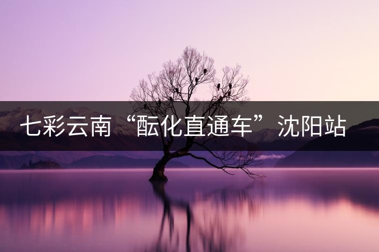 七彩云南“醞化直通車(chē)”沈陽(yáng)站現(xiàn)場(chǎng)多款經(jīng)典茶品獲好評(píng)