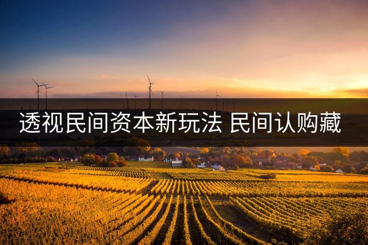 透視民間資本新玩法 民間認(rèn)購藏茶獲利按比分成 透視民間資本新玩法 民間認(rèn)購藏茶獲利按比分成