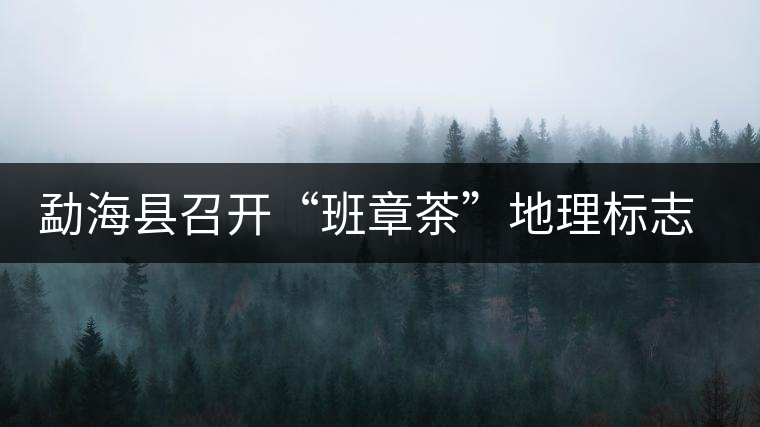勐海縣召開(kāi)“班章茶”地理標(biāo)志認(rèn)證評(píng)審會(huì)