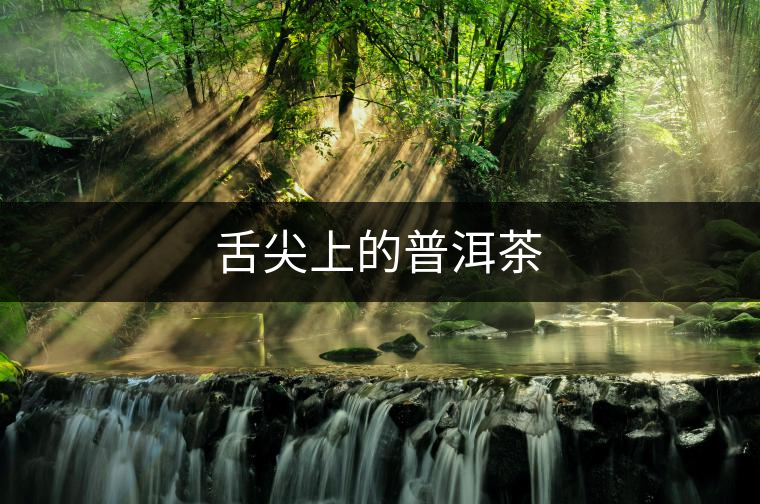 舌尖上的普洱茶 舌尖上的普洱茶