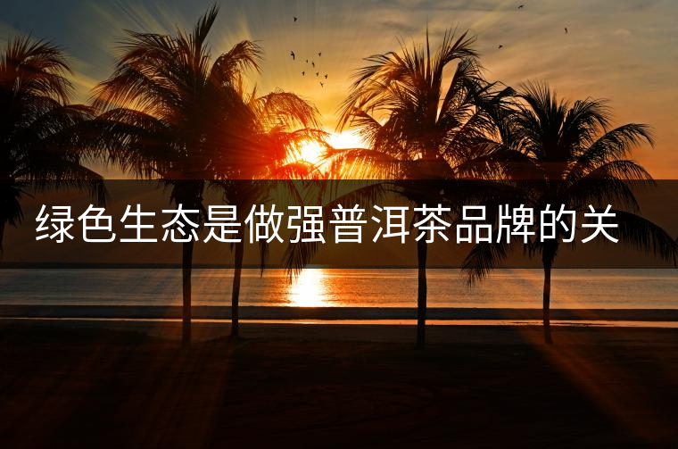 綠色生態(tài)是做強(qiáng)普洱茶品牌的關(guān)鍵 綠色生態(tài)是做強(qiáng)普洱茶品牌的關(guān)鍵