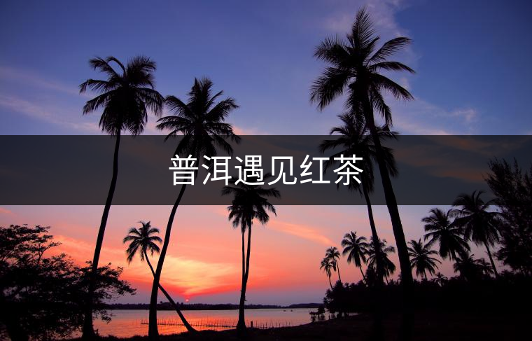 普洱遇見(jiàn)紅茶 普洱遇見(jiàn)紅茶