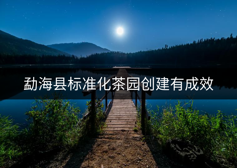 勐海縣標(biāo)準(zhǔn)化茶園創(chuàng)建有成效 勐??h標(biāo)準(zhǔn)化茶園創(chuàng)建有成效