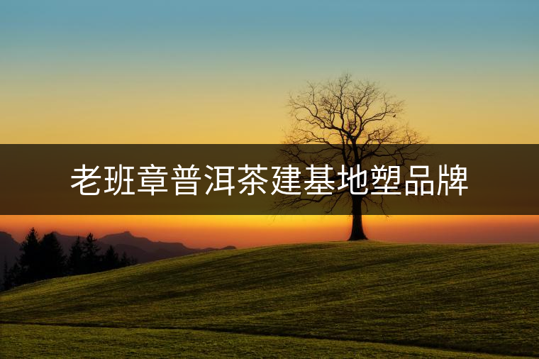 老班章普洱茶建基地塑品牌 老班章普洱茶建基地塑品牌