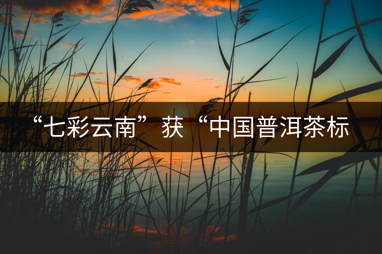 “七彩云南”獲“中國普洱茶標(biāo)志性品牌”