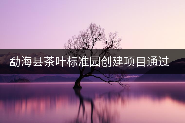 勐?？h茶葉標(biāo)準(zhǔn)園創(chuàng)建項(xiàng)目通過省級(jí)驗(yàn)收