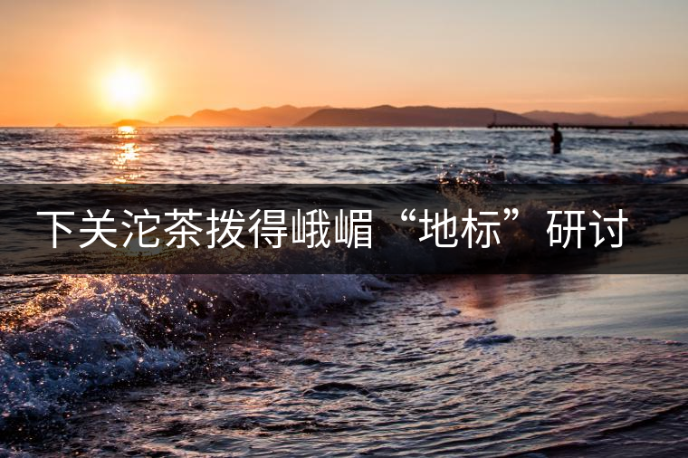 下關(guān)沱茶撥得峨嵋“地標(biāo)”研討會(huì)頭籌