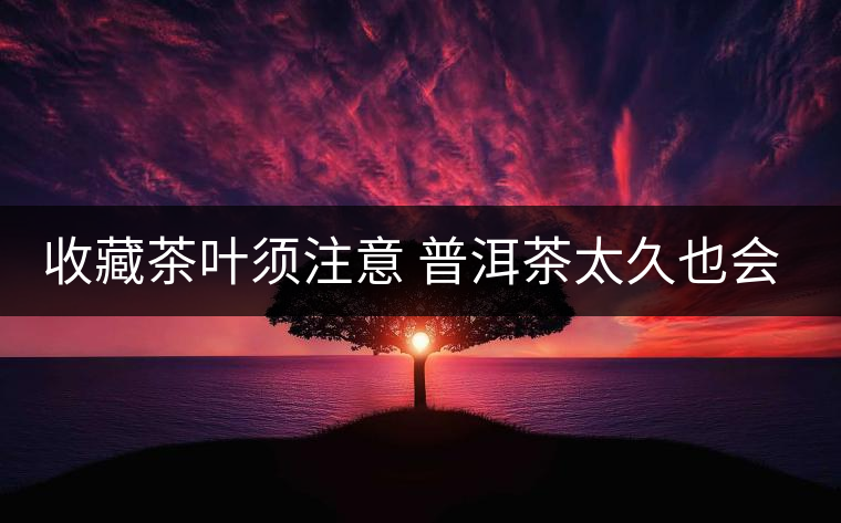 收藏茶葉須注意 普洱茶太久也會(huì)過(guò)期 收藏茶葉須注意 普洱茶太久也會(huì)過(guò)期