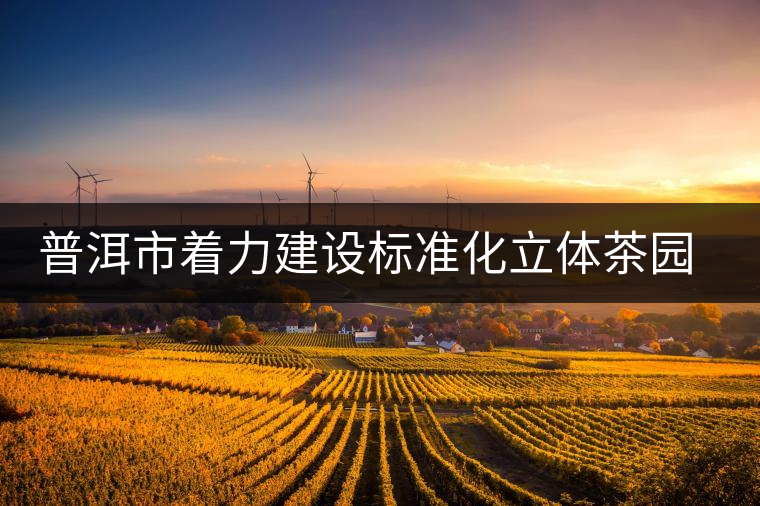 普洱市著力建設標準化立體茶園示范區(qū)