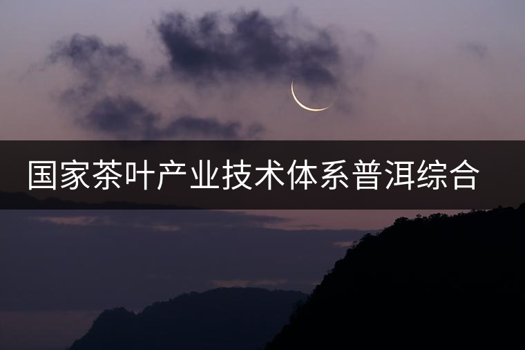 國(guó)家茶葉產(chǎn)業(yè)技術(shù)體系普洱綜合試驗(yàn)站召開“十二五”工作培訓(xùn)會(huì) 國(guó)家茶葉產(chǎn)業(yè)技術(shù)體系普洱綜合試驗(yàn)站召開“十二五”工作培訓(xùn)會(huì)
